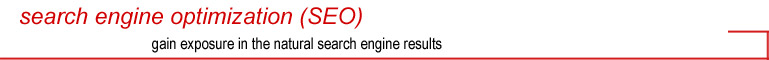 organic SEO and positioning, Google SEO optimization